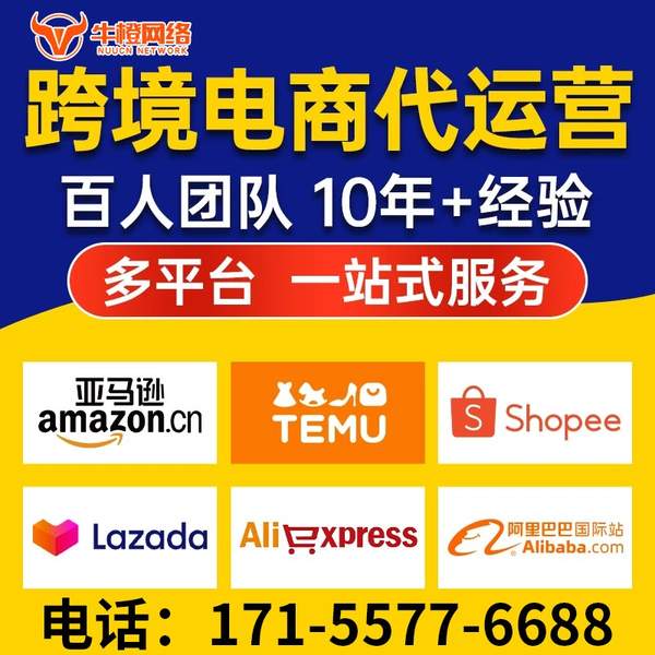 潍坊电商代运营