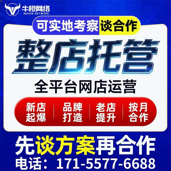 潍坊电商代运营