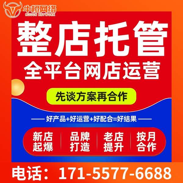 潍坊电商代运营