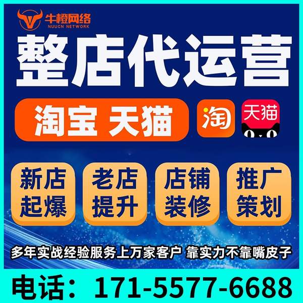 潍坊电商代运营
