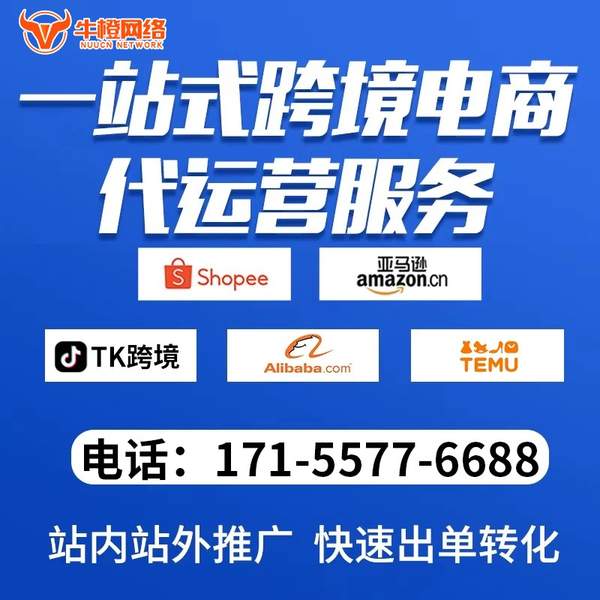 潍坊电商代运营