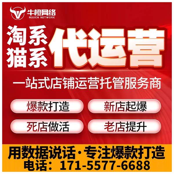 潍坊电商代运营